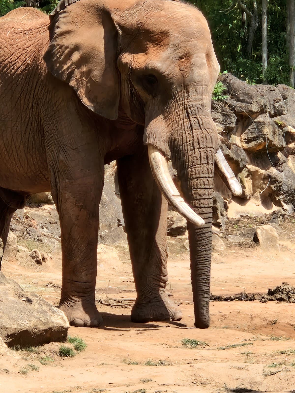 Meet the animals - 6