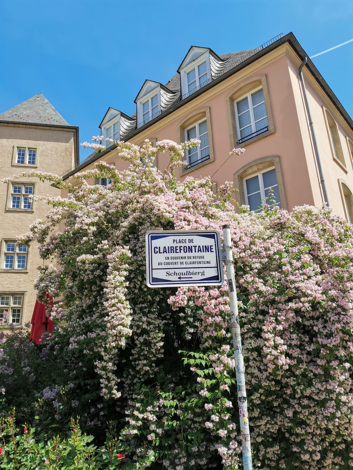 Gastronomic institution in Luxembourg - 10