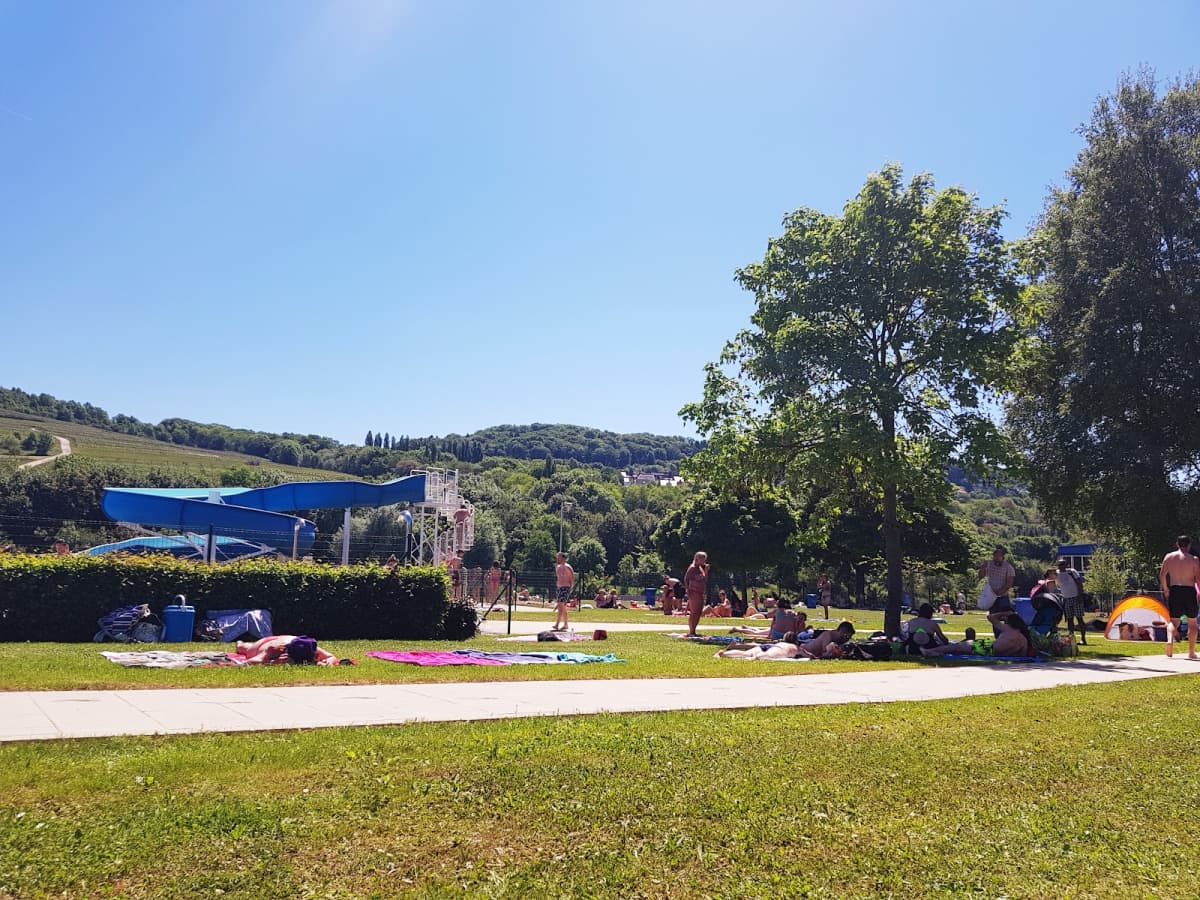 Swimming in front of the vineyards in Grevenmacher - 7