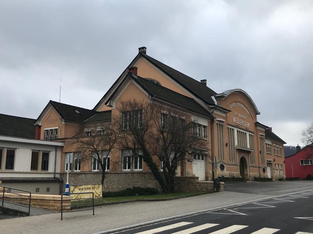 Domaines Vinsmoselle: visits, tastings and cellars in Luxembourg - 13
