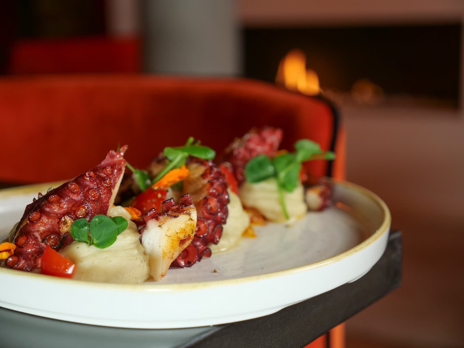 The chameleon gourmet brasserie - 10