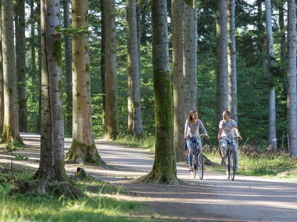 Reconnect with nature at Aqua Mundo Center Parcs - 7