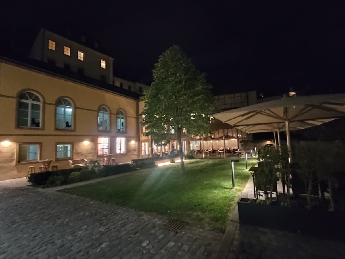 The Beech Tree By the Museum, the most gourmet brasserie in Luxembourg City - 12