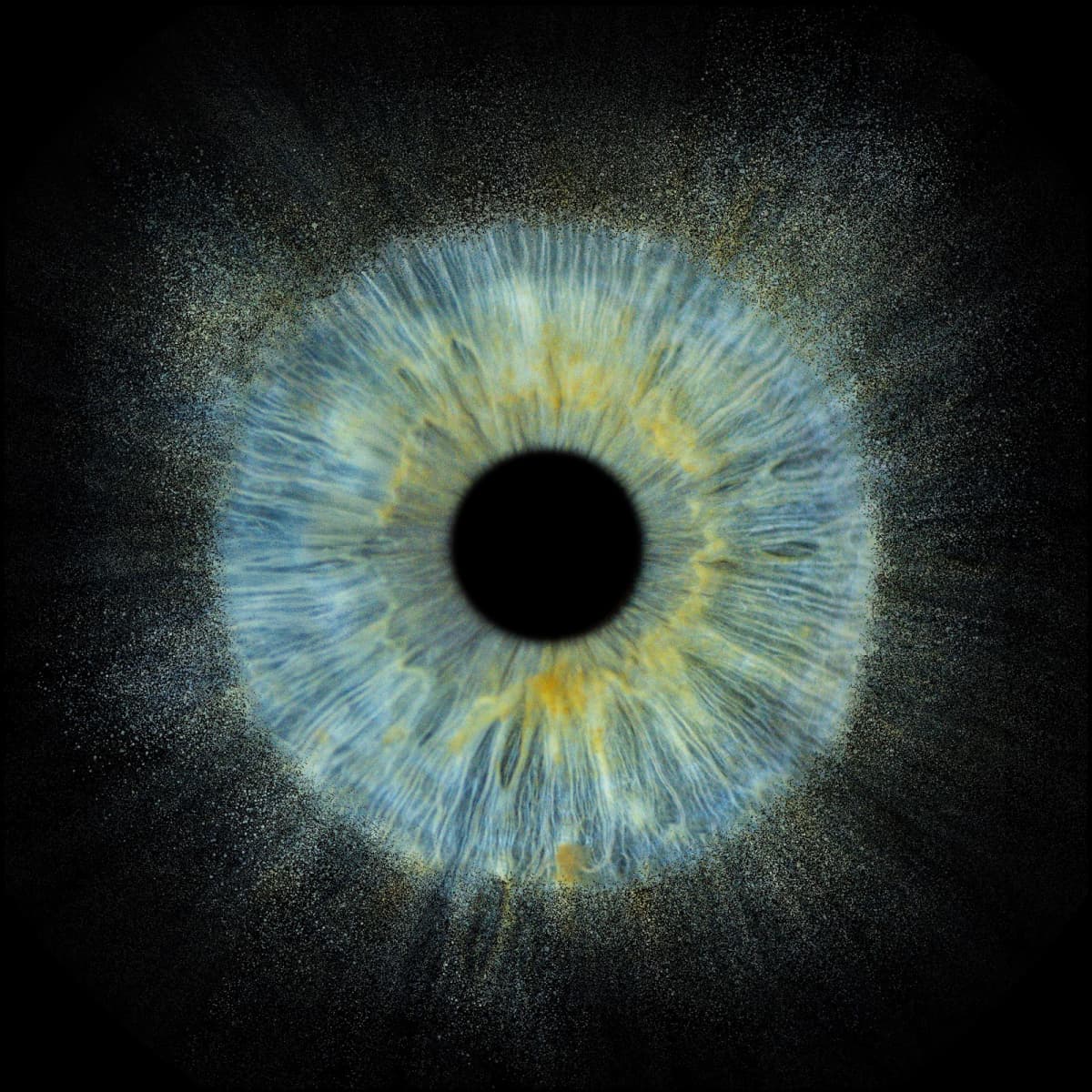 Yeux dans les yeux - 9