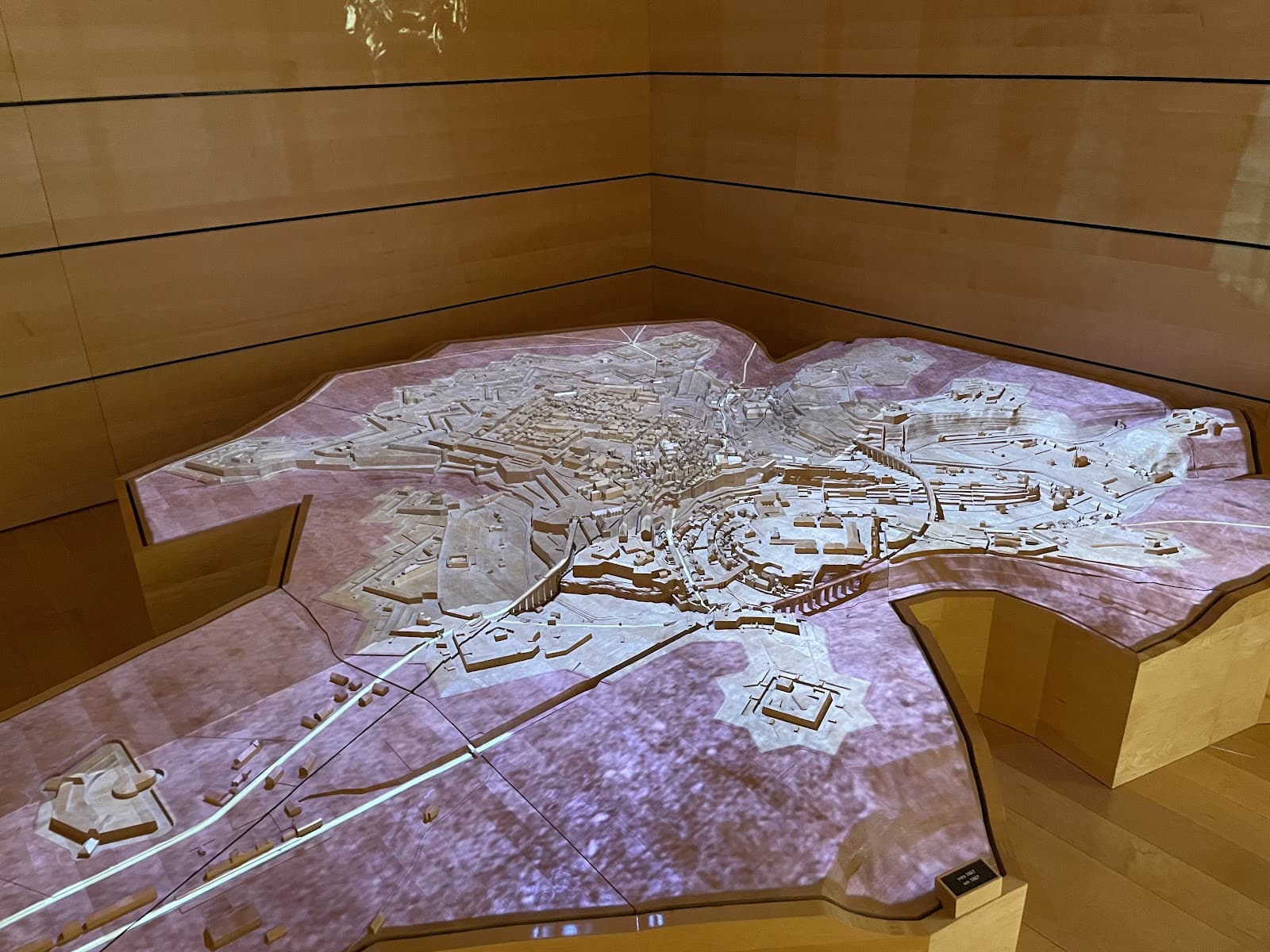 Un musée, cinq espaces, mille découvertes - 9
