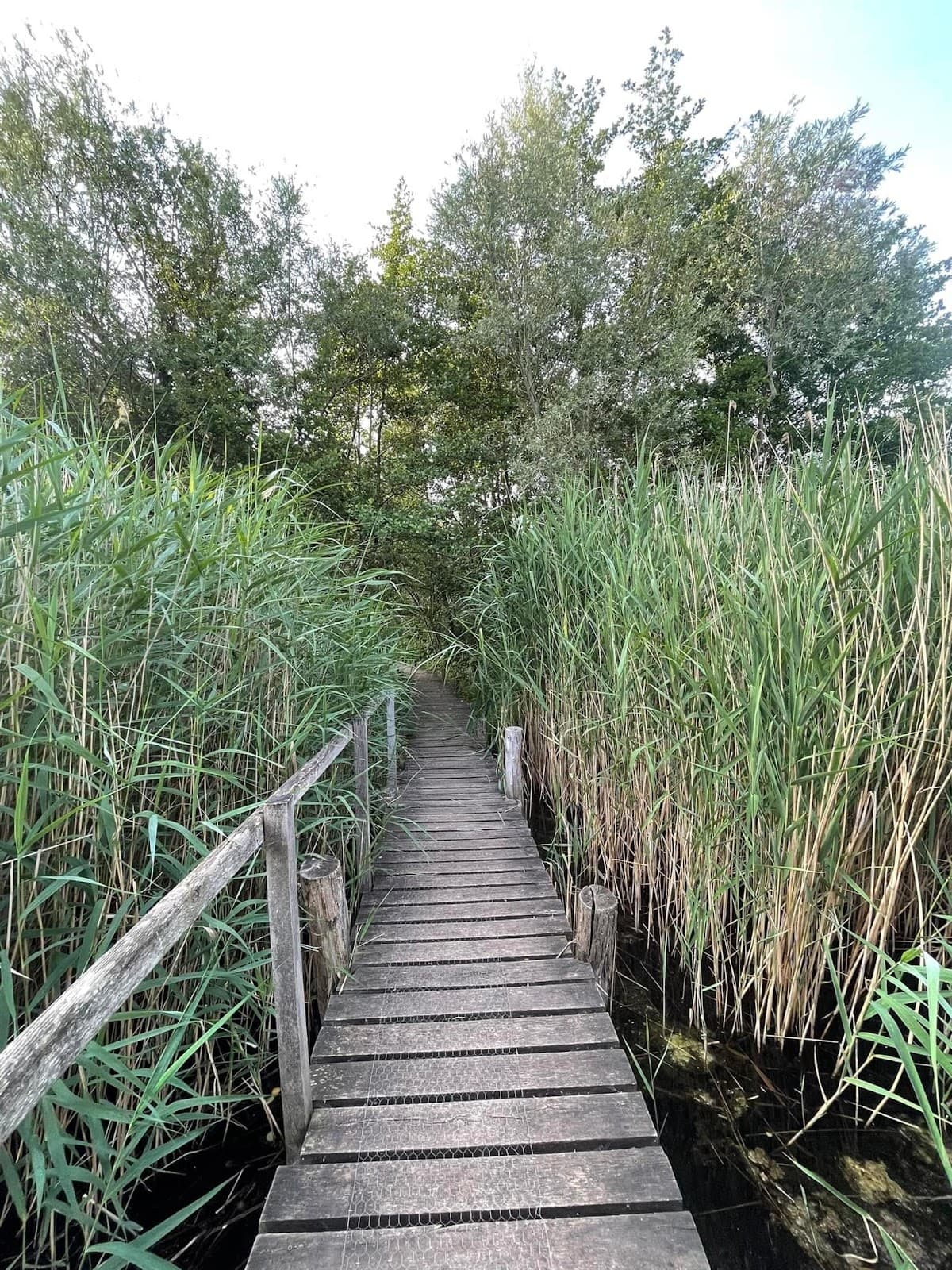 Come on, everyone, to the Remerschen Lake - 11