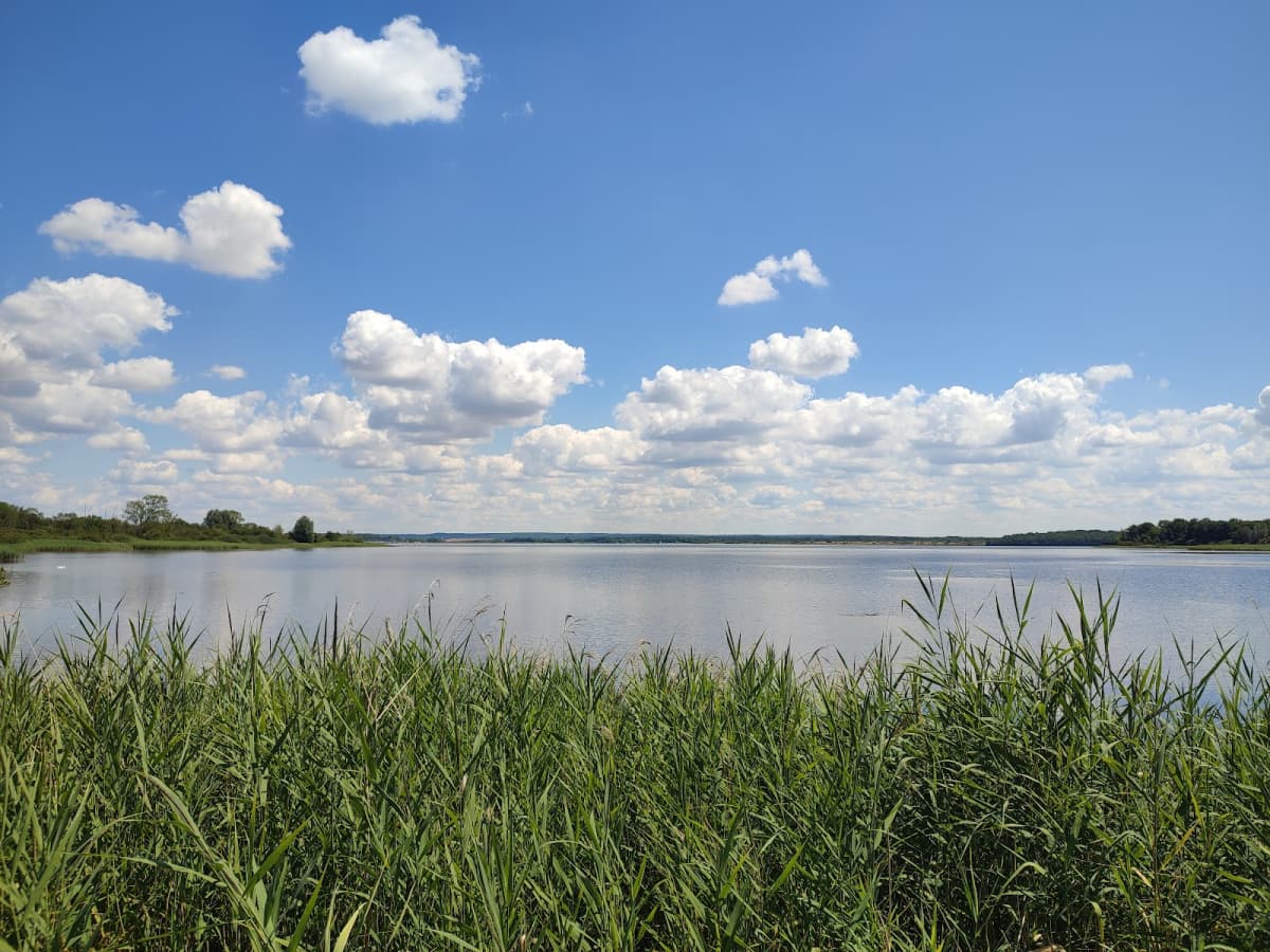 Baignade, pêche, paddle et vélo au Lac de la Madine - 9