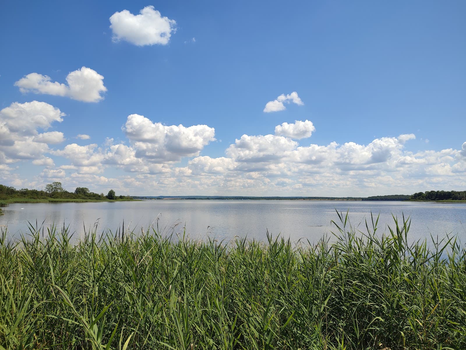 Baignade, pêche, paddle et vélo au Lac de la Madine - 9