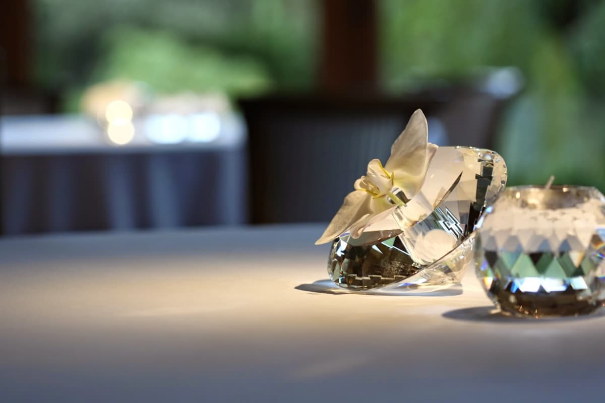 L'Arnsbourg, the gourmet restaurant in the heart of the forest - 5