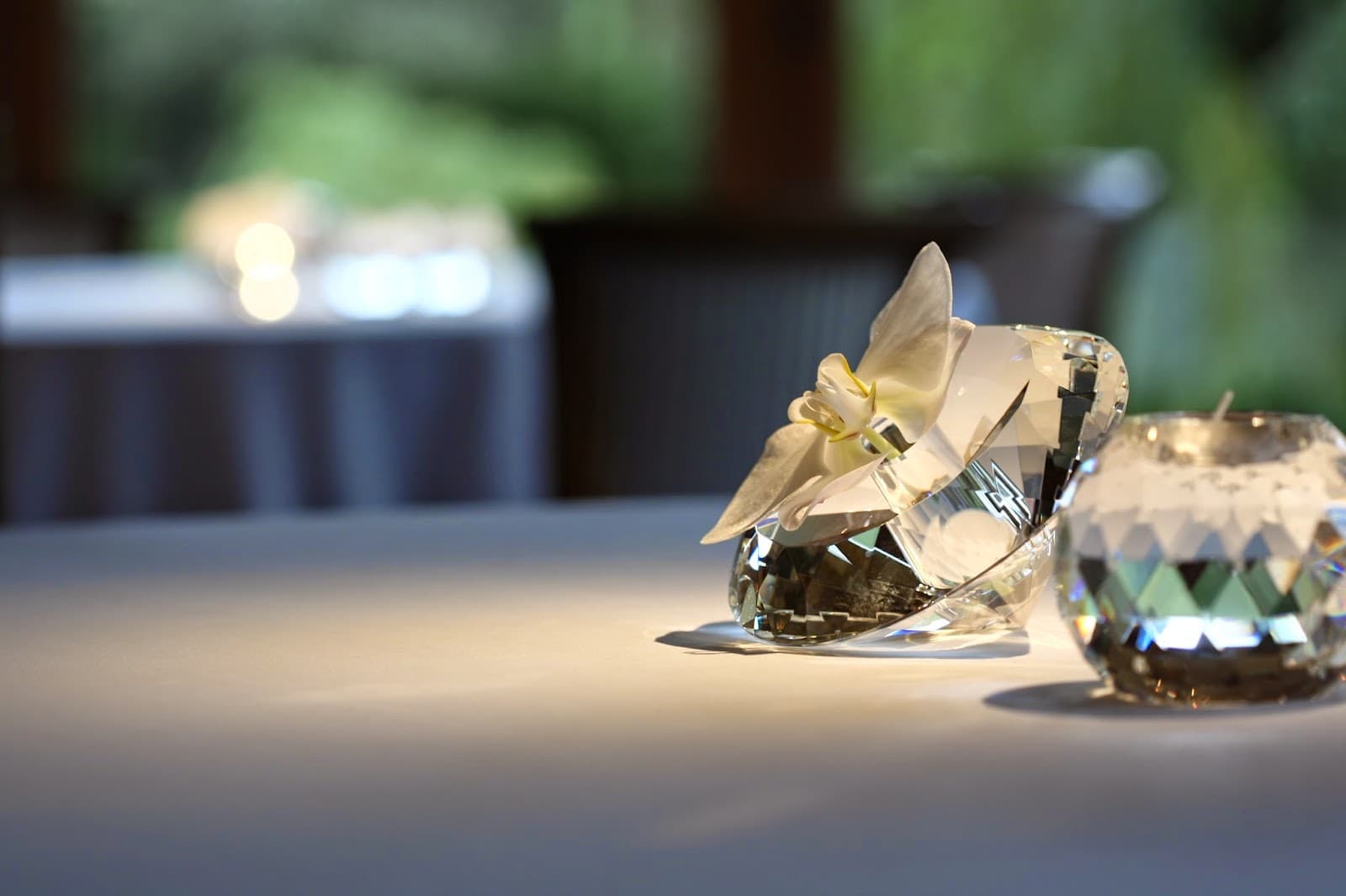 L'Arnsbourg, the gourmet restaurant in the heart of the forest - 5