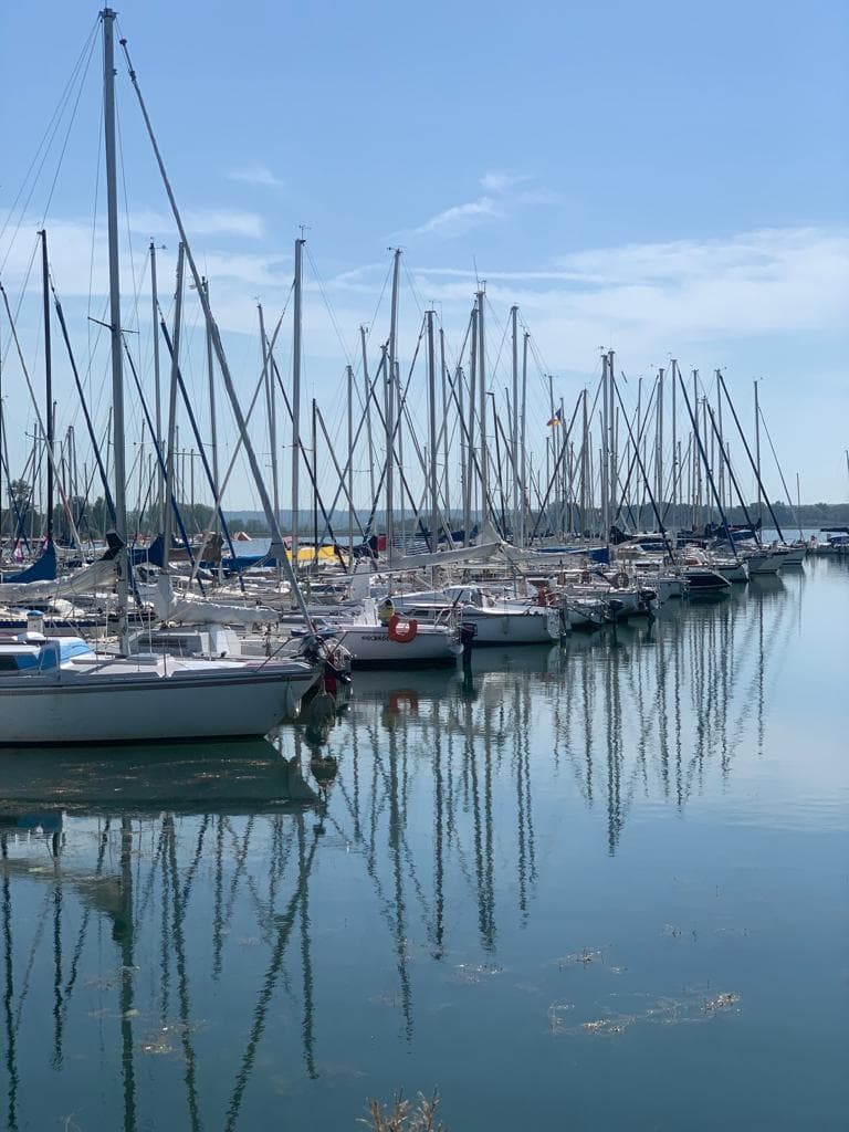 Baignade, pêche, paddle et vélo au Lac de la Madine - 4