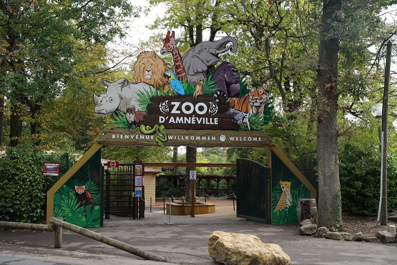 Meet the animals - 2