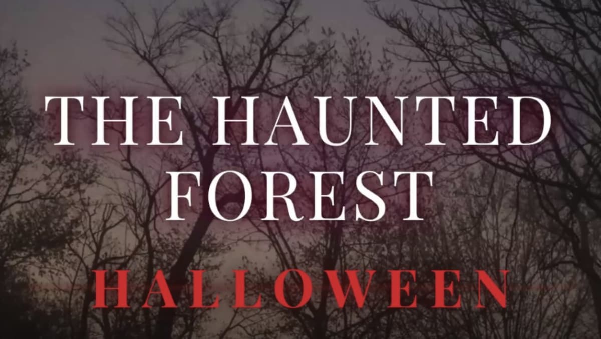 The Haunted Forest Halloween - 2