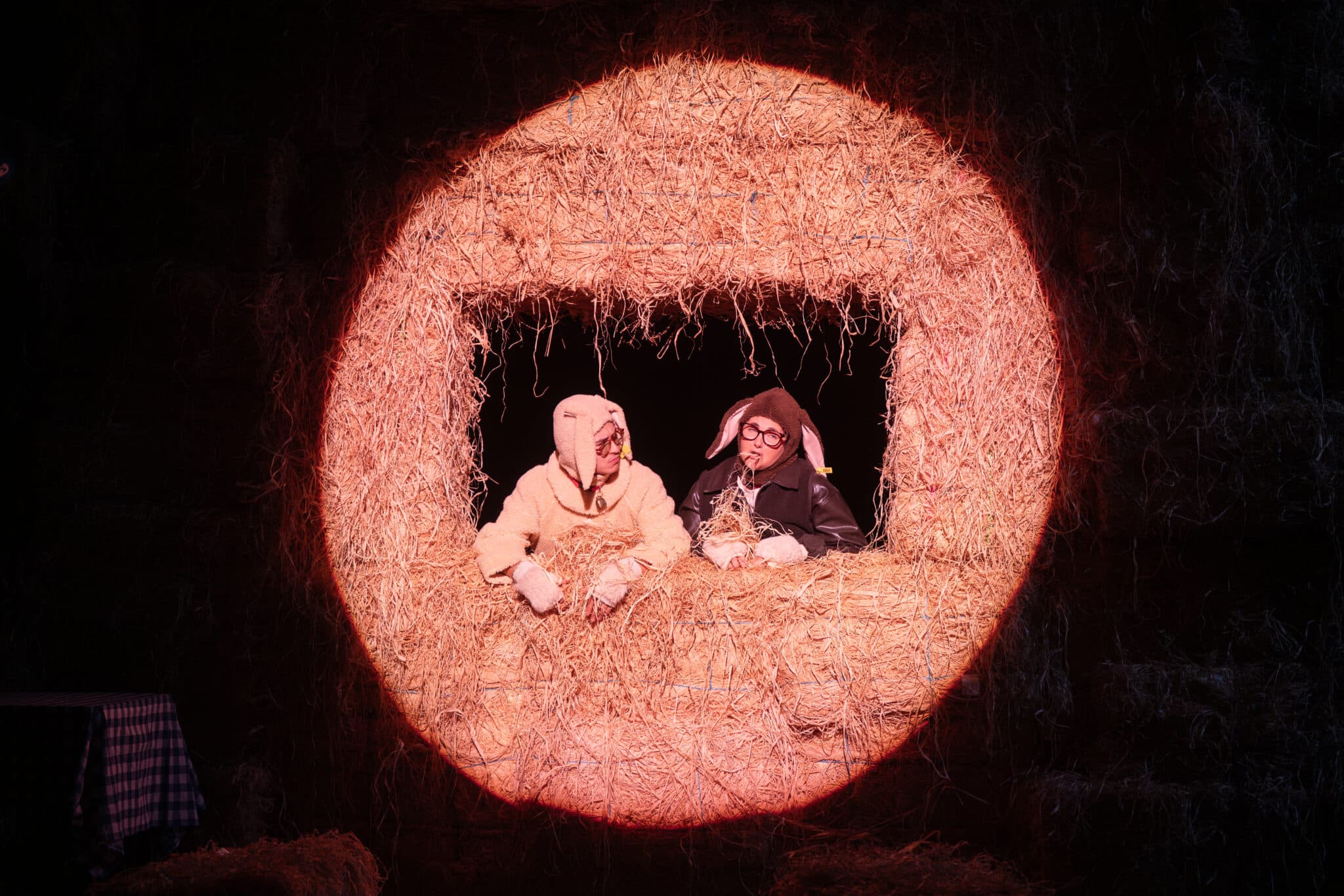 Théâtre - Foutue Bergerie - 3