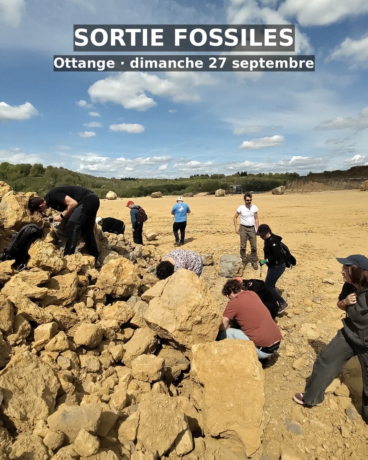 Paléontologue d'un jour : chasse aux fossiles à Ottange