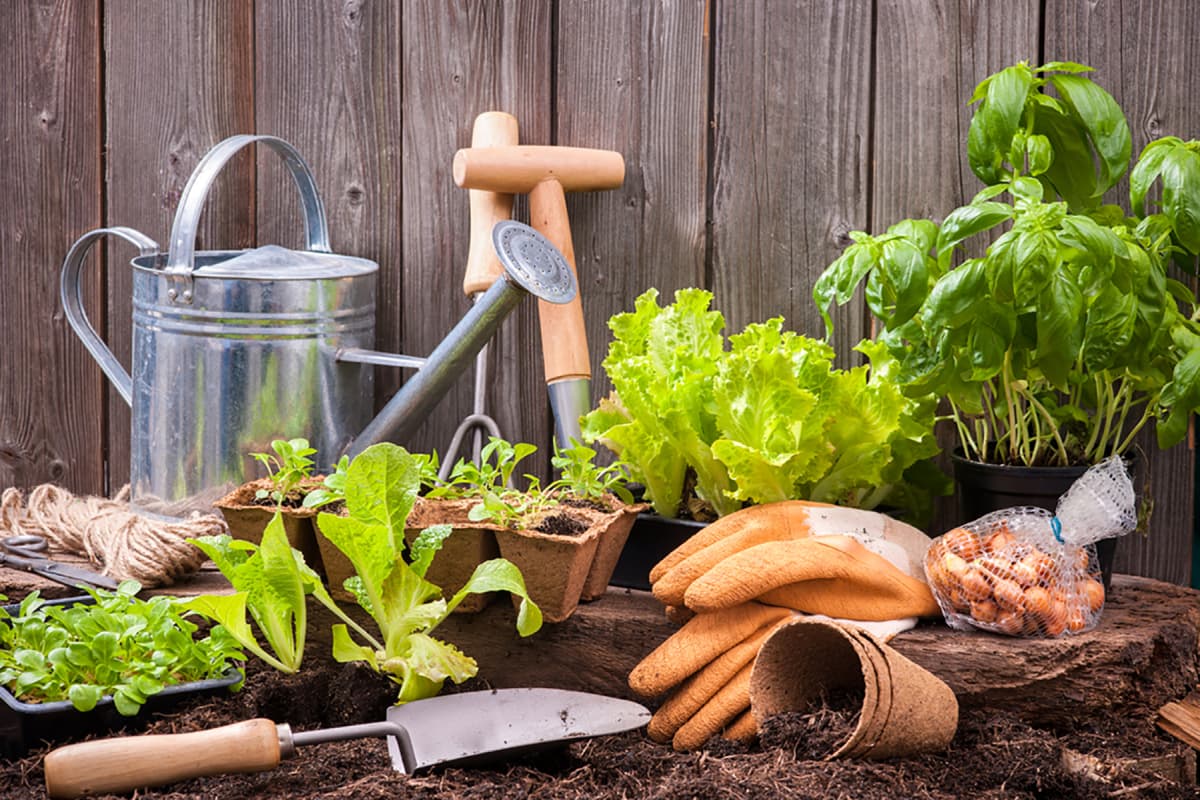 Le P'tit marché bio de Habay fête ses 10 ans