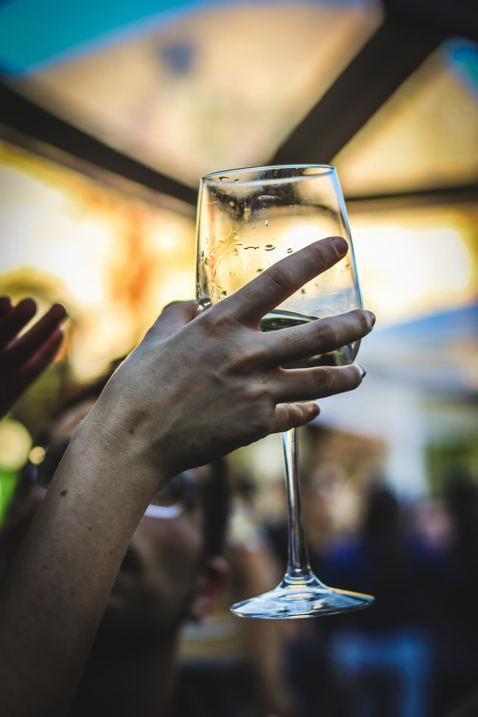 19th Wine Event 40th Wine Tasting