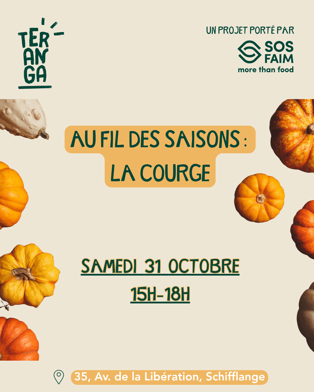 Through the seasons: squash