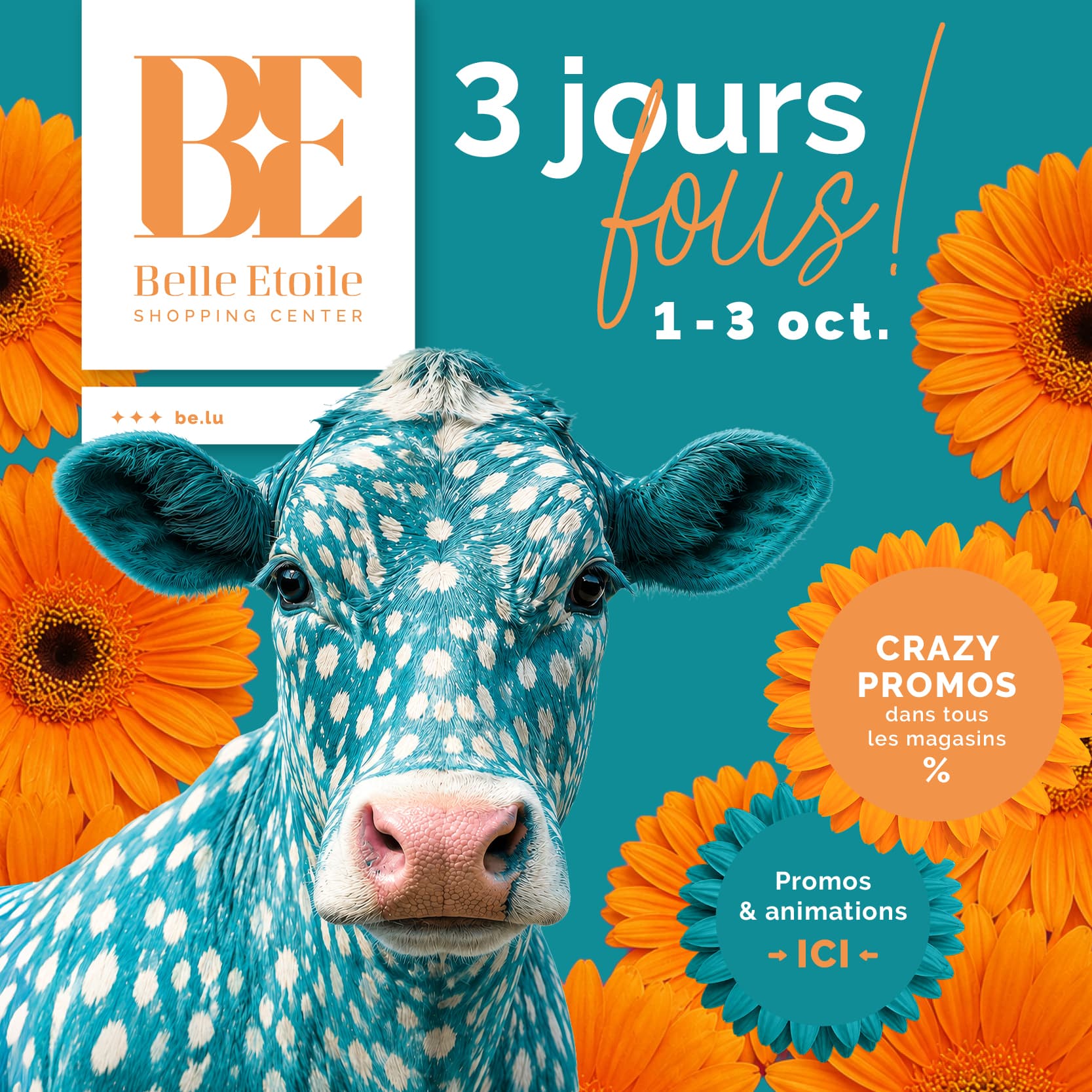 3 crazy days at La Belle Étoile! - 1