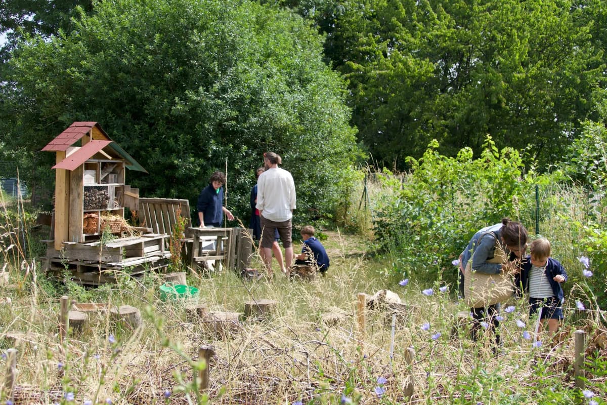 Jardin partagé