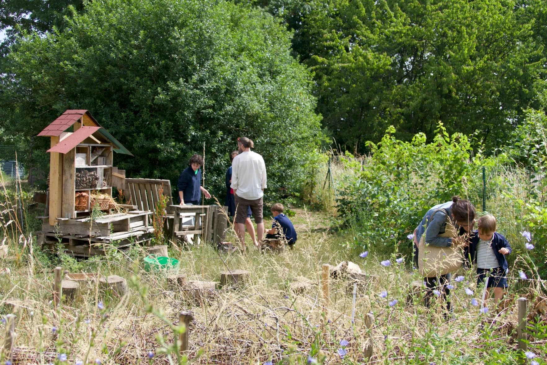 Jardin partagé