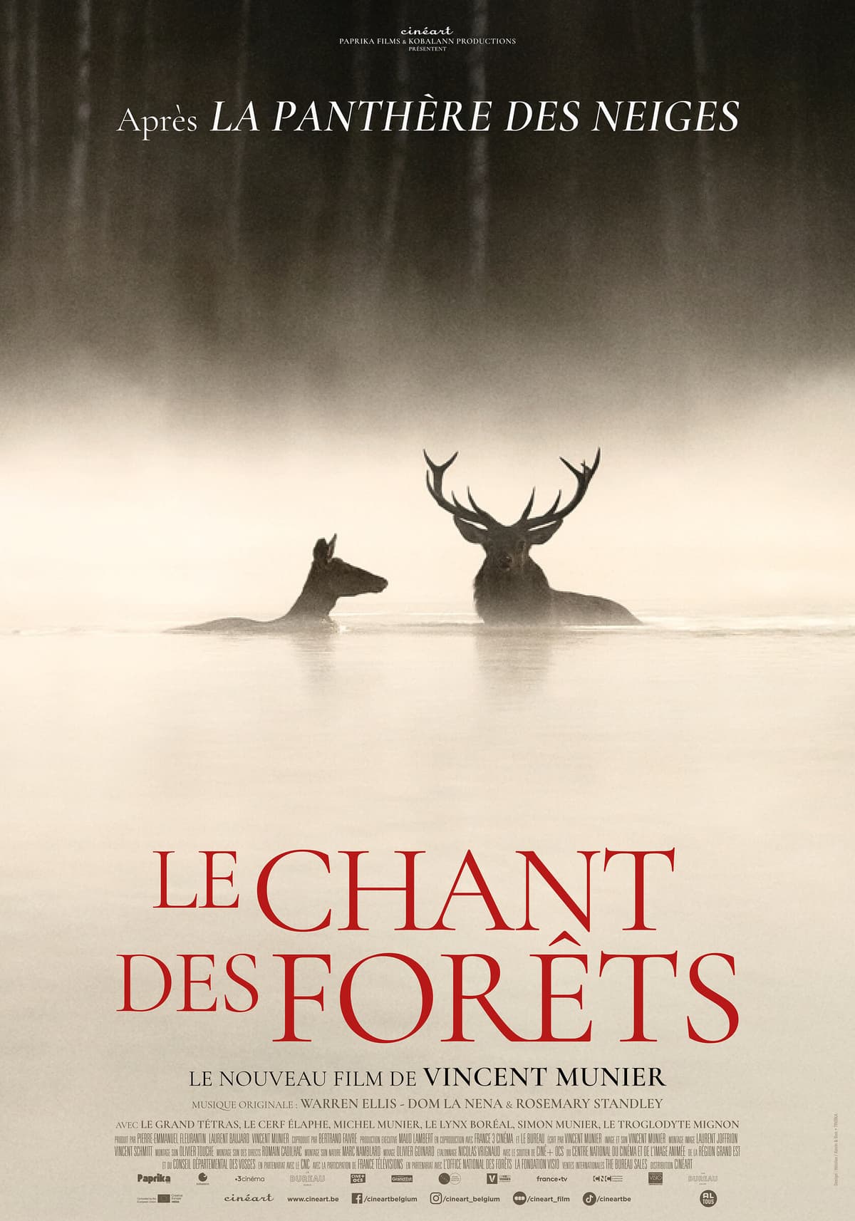 Séance cinéma "Le chant des forêts"