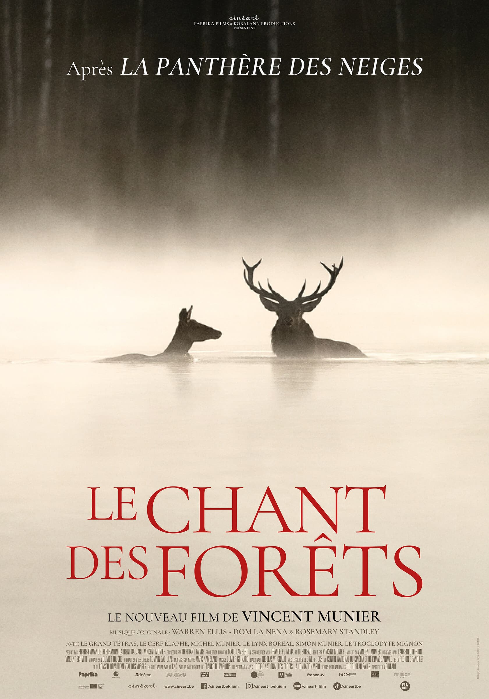 Séance cinéma "Le chant des forêts"