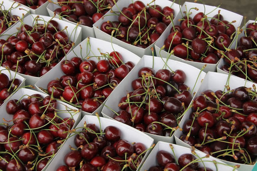 Cherry Festival