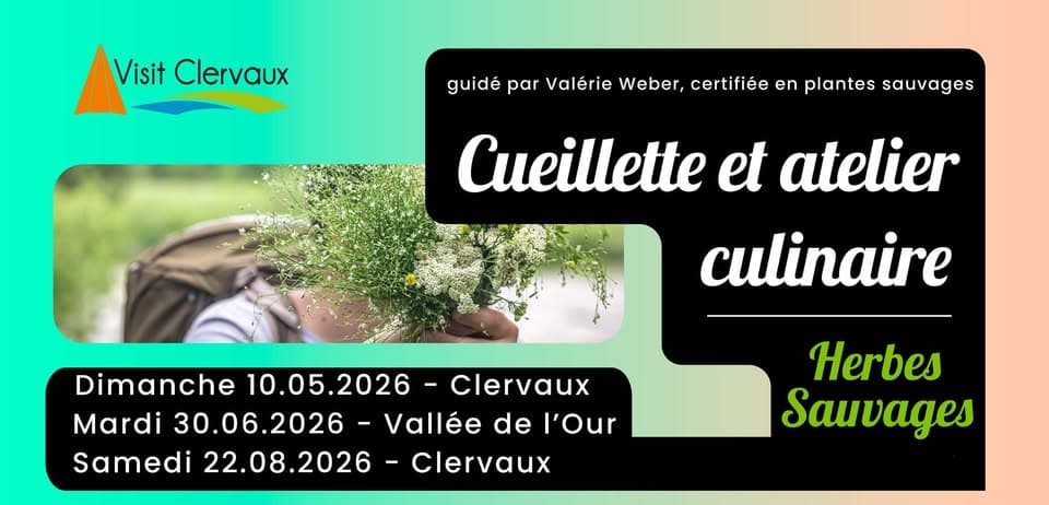 Clervaux Letz Breathe - Wild Plant Foraging and Culinary Workshop