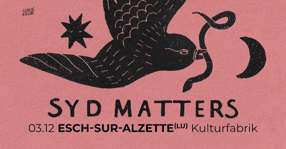 Syd Matters at the Kulturfabrik