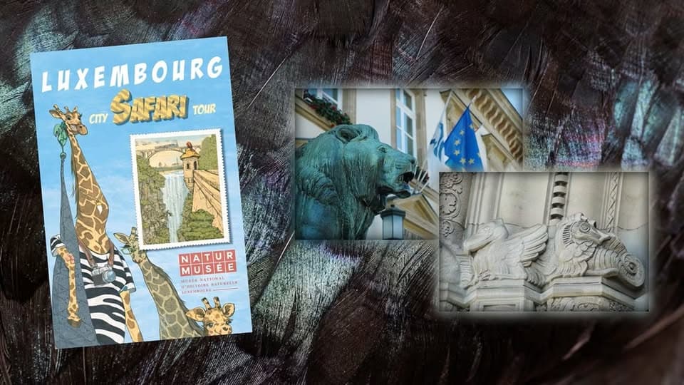 Luxembourg City Safari Tour - Découvrez les animaux sauvages à Luxembourg