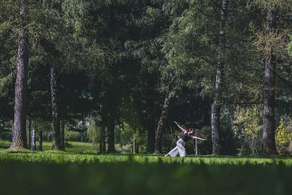 Séances de yoga en plein air dans le parc – été 2026