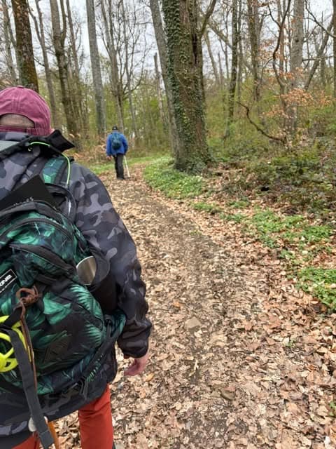 Guided walk – The Guerlange woods in summer colours