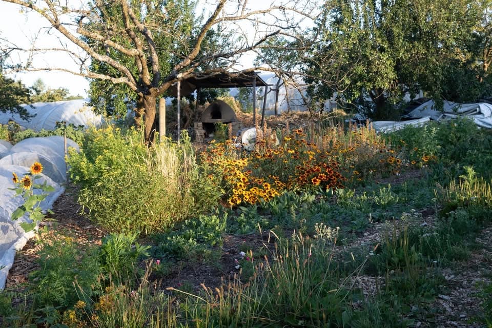 Célébration d'été