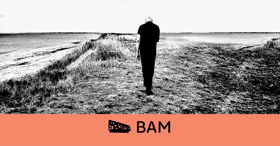 Dominique A • BAM • Metz