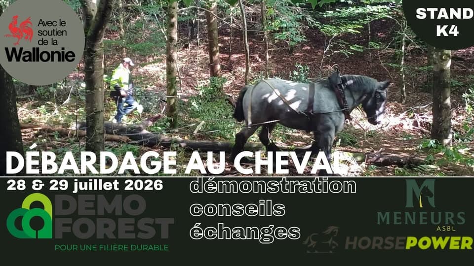 Horse Logging Demonstrations – Démo-Forest 2026