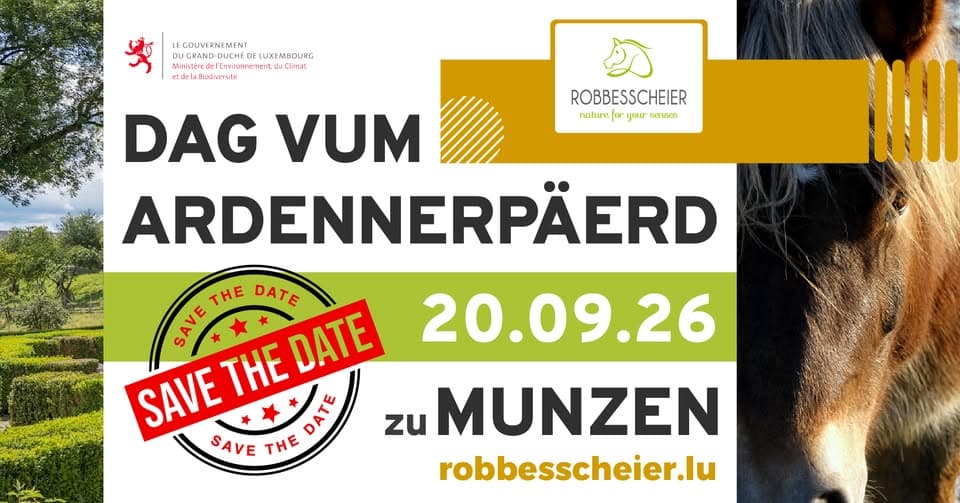 Dag vum Ardennerpäerd 2026 – Journée du Cheval Ardennais !