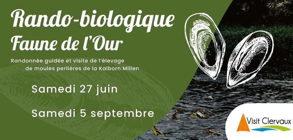 Clervaux Letz Breathe: Biological Walk – Freshwater Pearl Mussels in the Our Valley