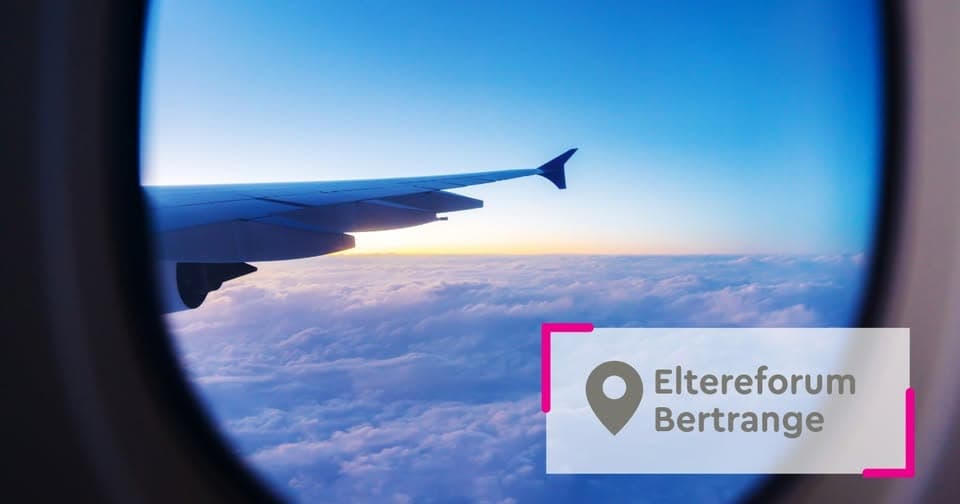 Meet and Discuss: Ready for Take-Off? Preparing Your Family for a Safe and Happy Holiday