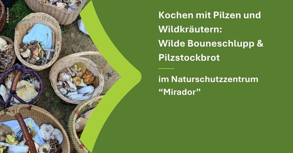 Cooking with mushrooms and wild herbs: Wild Bouneschlupp & mushroom stick bread