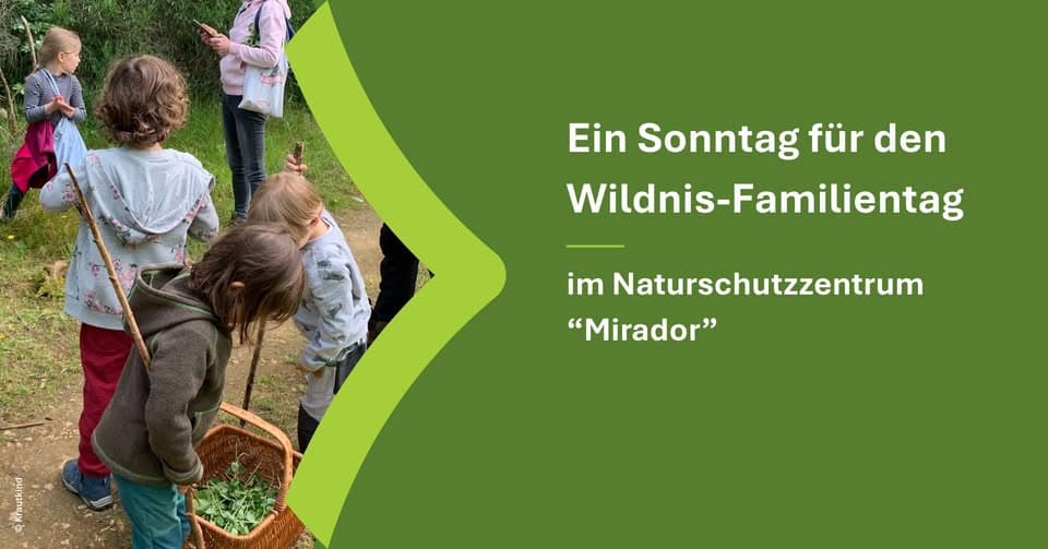 A Sunday for Wild Family Day