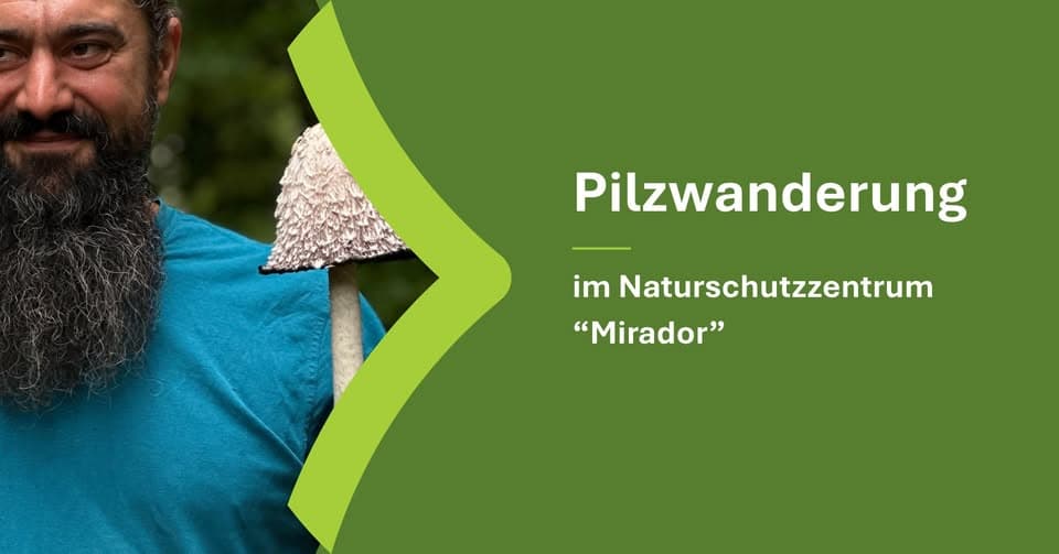 Mushroom walk