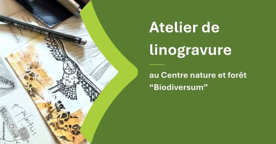 Linocut Workshop for Nature Lovers