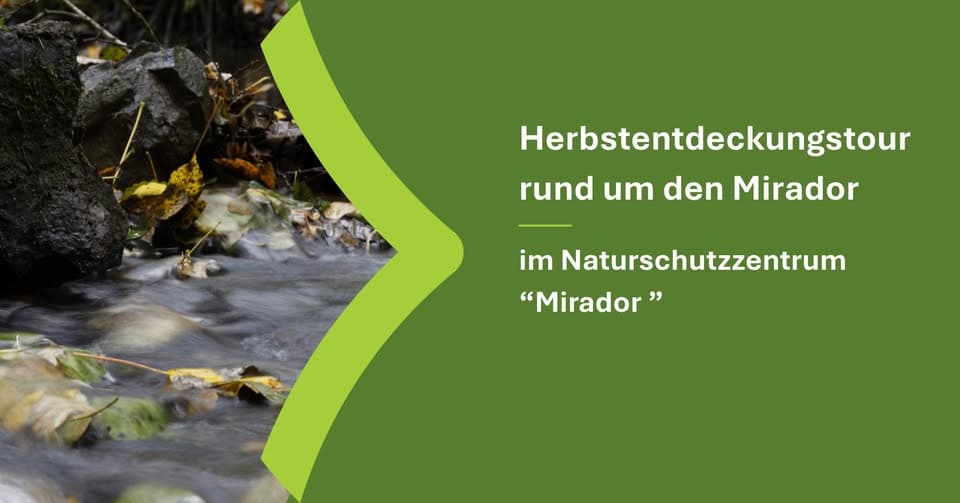 Autumn Discovery Tour around the Mirador