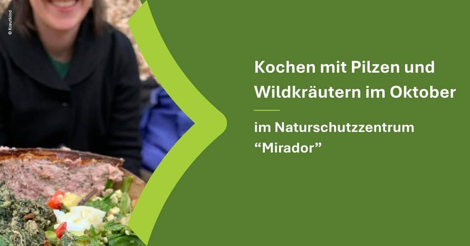 Cooking with mushrooms and wild herbs in October