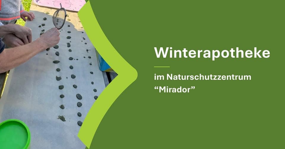 Winter Pharmacy