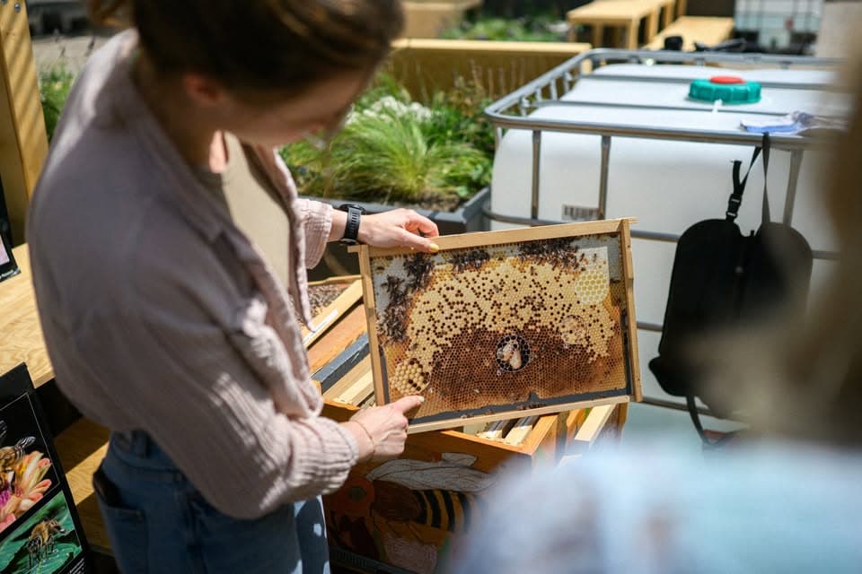 Atelier - D'Welt vun de Beien - Mäi Quartier, meng Plaz