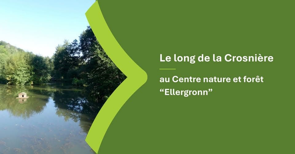 Along the Crosnière