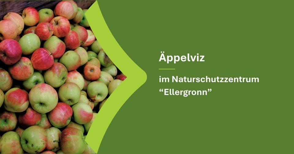 Äppelviz