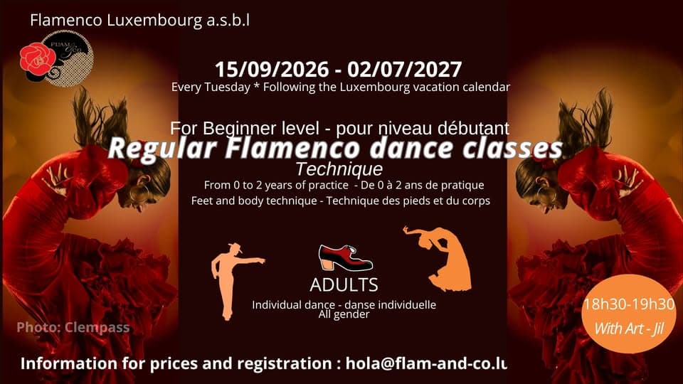 Beginner Adult Flamenco: Tuesday Technique